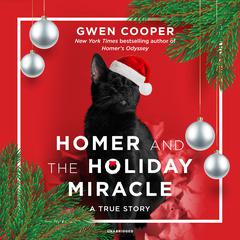 Homer and the Holiday Miracle by Gwen Cooper audiobook