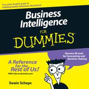 Business Intelligence For Dummies by  Swain Scheps audiobook
