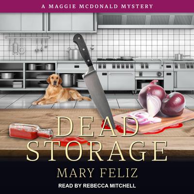 Dead Storage by Mary Feliz audiobook