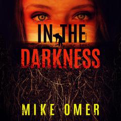 In the Darkness by Mike Omer audiobook