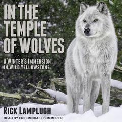 In the Temple of Wolves by Rick Lamplugh audiobook