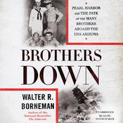Brothers Down by  Walter R. Borneman audiobook