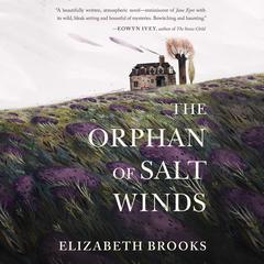 The Orphan of Salt Winds by Elizabeth Brooks audiobook