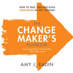 The Change Maker's Playbook by Amy J. Radin audiobook