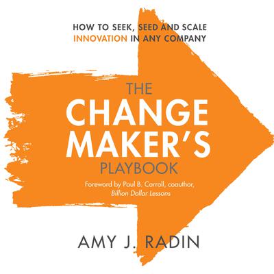 The Change Maker's Playbook by Amy J. Radin audiobook