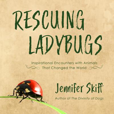 Rescuing Ladybugs by Jennifer Skiff audiobook