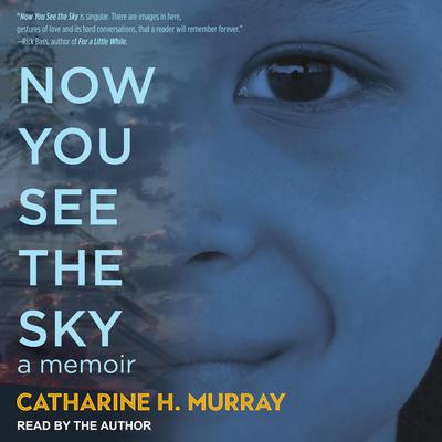 Now You See the Sky by Catharine H. Murray audiobook
