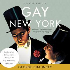 Gay New York by George Chauncey audiobook