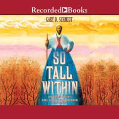 So Tall Within by Gary D. Schmidt audiobook