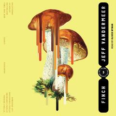 Finch by Jeff VanderMeer audiobook