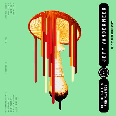 City of Saints and Madmen by Jeff VanderMeer audiobook