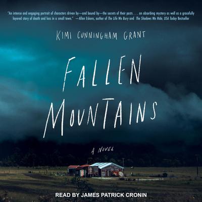 Fallen Mountains by Kimi Cunningham Grant audiobook