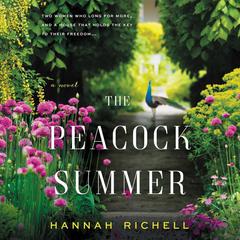 The Peacock Summer by Hannah Richell audiobook
