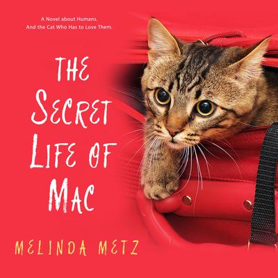 The Secret Life of Mac by Melinda Metz audiobook
