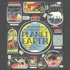 The Wondrous Workings of Planet Earth by Rachel Ignotofsky audiobook