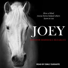 Joey by Jennifer Marshall Bleakley audiobook