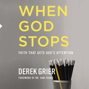 When God Stops by  Derek Grier audiobook