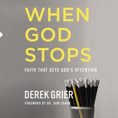 When God Stops by Derek Grier audiobook