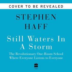 Still Waters in a Storm by Stephen Haff audiobook
