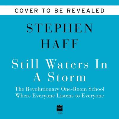 Still Waters in a Storm by Stephen Haff audiobook