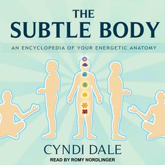 The Subtle Body by Cyndi Dale audiobook