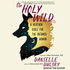 The Holy Wild by Danielle Dulsky audiobook