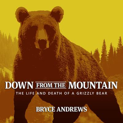 Down from the Mountain by Bryce Andrews audiobook