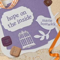 Hope on the Inside by Marie Bostwick audiobook