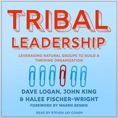Tribal Leadership by Dave Logan audiobook