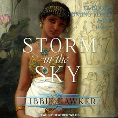 Storm in the Sky by Libbie Hawker audiobook