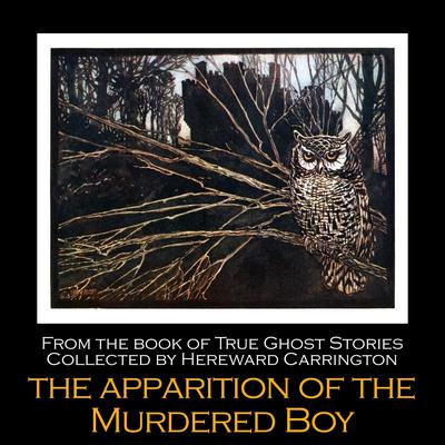 The Apparition of the Murdered Boy by Hereward Carrington audiobook