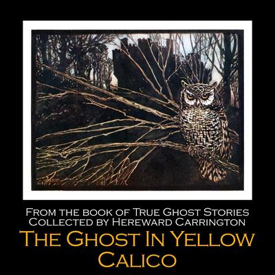 The Ghost in Yellow Calico by Hereward Carrington audiobook