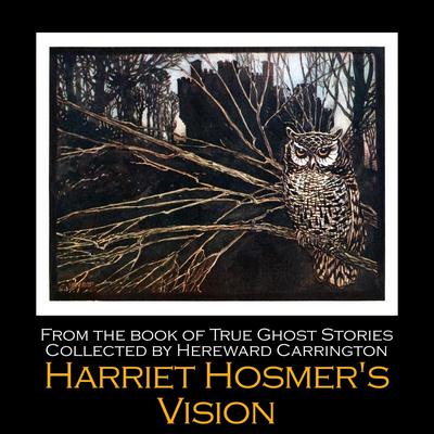 Harriet Hosmer's Vision by Hereward Carrington audiobook