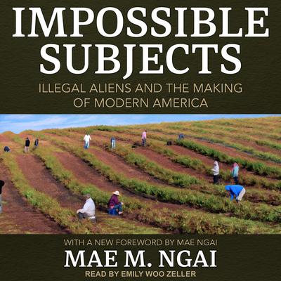 Impossible Subjects by Mae M. Ngai audiobook