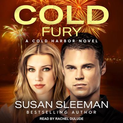Cold Fury by Susan Sleeman audiobook