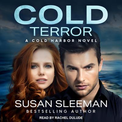 Cold Terror by Susan Sleeman audiobook