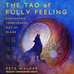 The Tao of Fully Feeling by Pete Walker audiobook