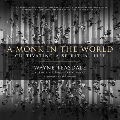 A Monk in the World by Wayne Teasdale audiobook