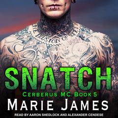 Snatch by Marie James audiobook