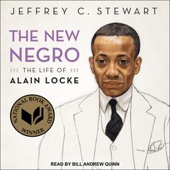 The New Negro by Jeffrey C. Stewart audiobook