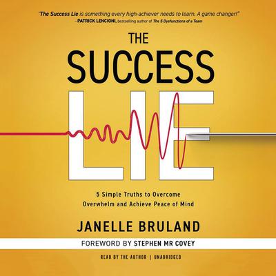 The Success Lie by Janelle Bruland audiobook