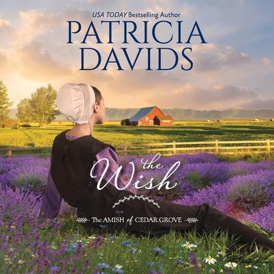 The Wish by Patricia Davids audiobook