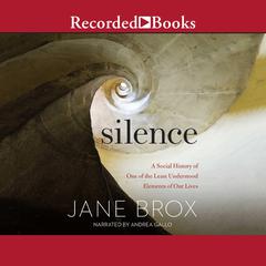 Silence by Jane Brox audiobook