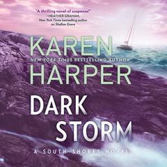 Dark Storm by Karen Harper audiobook