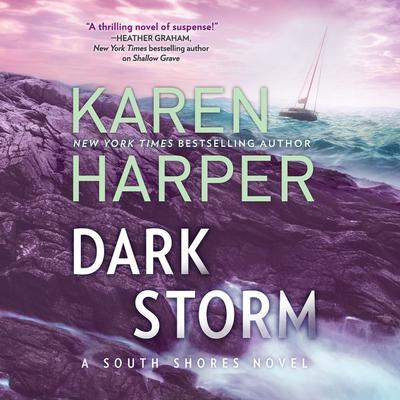 Dark Storm by Karen Harper audiobook