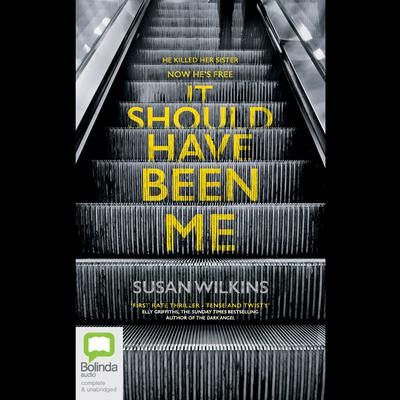 It Should Have Been Me by Susan Wilkins audiobook
