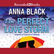 The Perfect Love Storm by  Anna Black audiobook