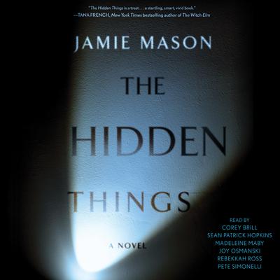 The Hidden Things by Jamie Mason audiobook