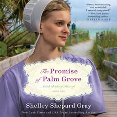 The Promise of Palm Grove by Shelley Shepard Gray audiobook