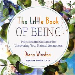The Little Book of Being by Diana Winston audiobook